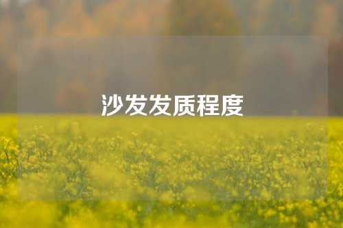 沙发发质程度