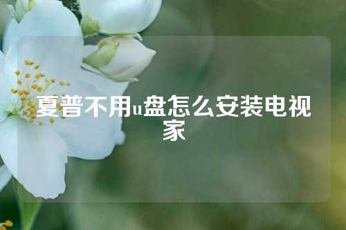 夏普不用u盘怎么安装电视家