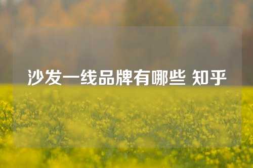 沙发一线品牌有哪些 知乎