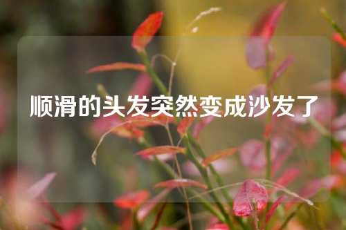 顺滑的头发突然变成沙发了