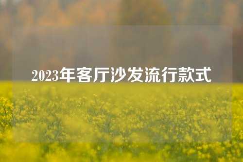 2023年客厅沙发流行款式