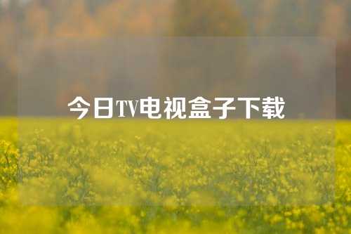 今日TV电视盒子下载