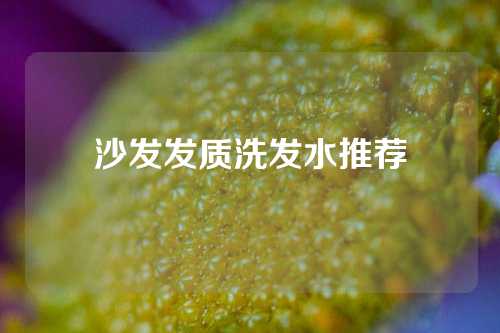 沙发发质洗发水推荐