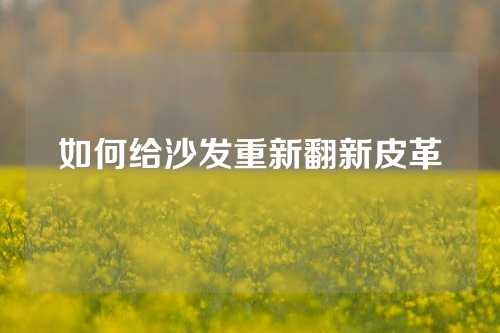 如何给沙发重新翻新皮革