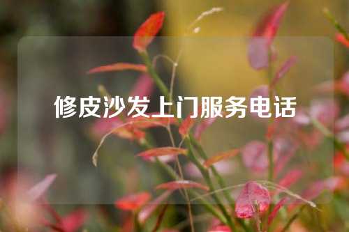 修皮沙发上门服务电话
