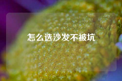 怎么选沙发不被坑