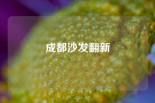 成都沙发翻新
