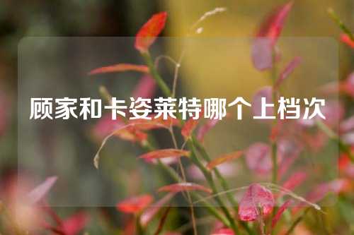 顾家和卡姿莱特哪个上档次