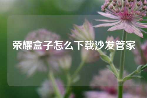 荣耀盒子怎么下载沙发管家