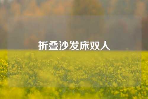 折叠沙发床双人