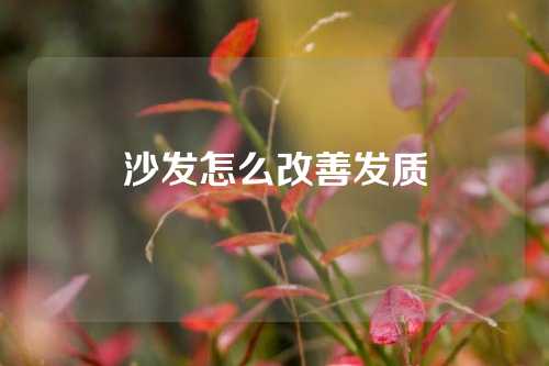 沙发怎么改善发质