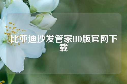 比亚迪沙发管家HD版官网下载