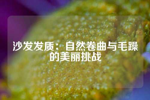 沙发发质：自然卷曲与毛躁的美丽挑战