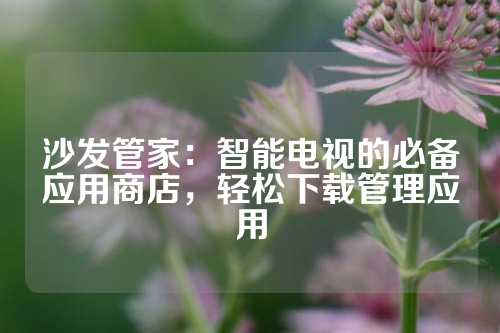 沙发管家：智能电视的必备应用商店，轻松下载管理应用