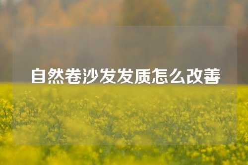 自然卷沙发发质怎么改善