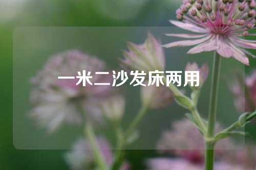 一米二沙发床两用