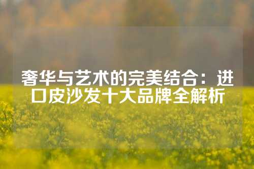 奢华与艺术的完美结合：进口皮沙发十大品牌全解析