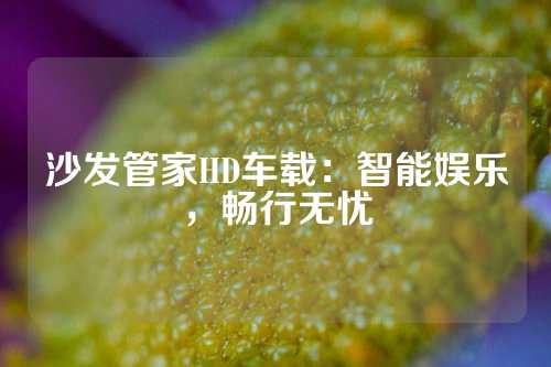 沙发管家HD车载：智能娱乐，畅行无忧