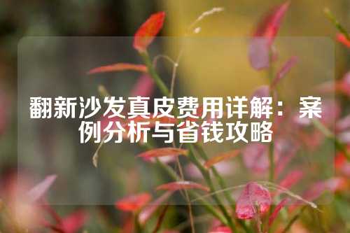 翻新沙发真皮费用详解：案例分析与省钱攻略