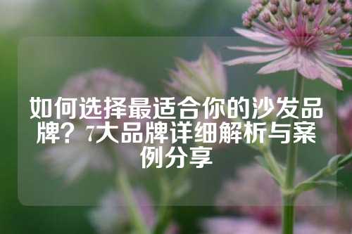 如何选择最适合你的沙发品牌？7大品牌详细解析与案例分享