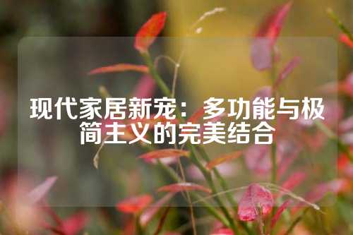 现代家居新宠：多功能与极简主义的完美结合