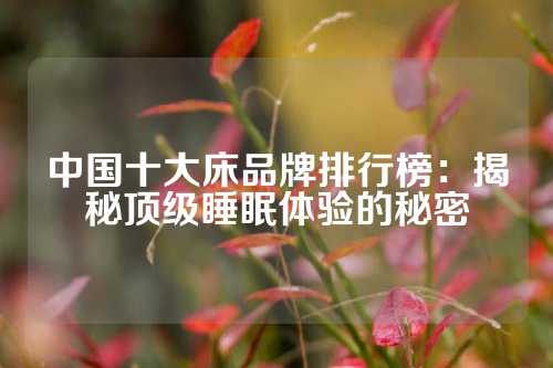 中国十大床品牌排行榜：揭秘顶级睡眠体验的秘密