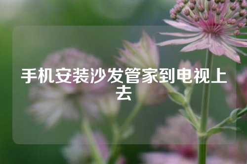 手机安装沙发管家到电视上去