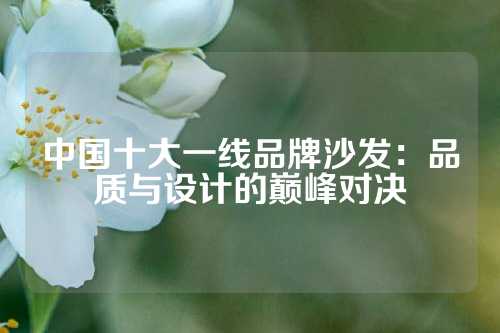 中国十大一线品牌沙发：品质与设计的巅峰对决