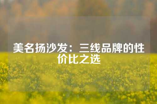 美名扬沙发：三线品牌的性价比之选