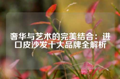 奢华与艺术的完美结合：进口皮沙发十大品牌全解析