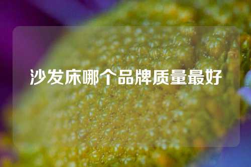 沙发床哪个品牌质量最好