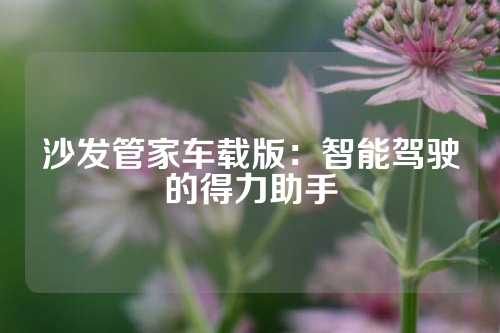 沙发管家车载版：智能驾驶的得力助手