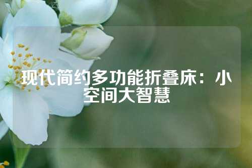 现代简约多功能折叠床:小空间大智慧