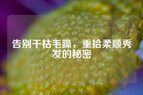 告别干枯毛躁，重拾柔顺秀发的秘密