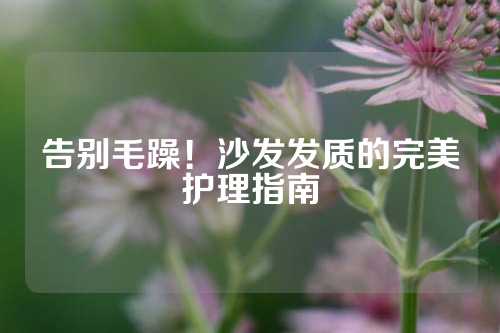 告别毛躁！沙发发质的完美护理指南