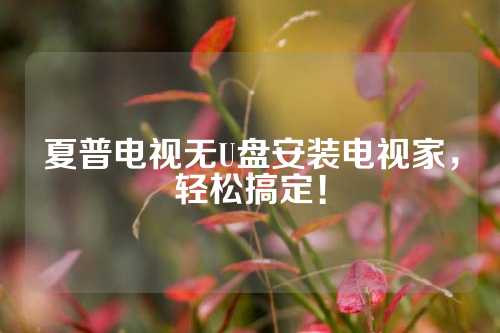 夏普电视无U盘安装电视家，轻松搞定！