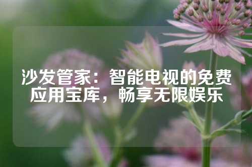 沙发管家：智能电视的免费应用宝库，畅享无限娱乐