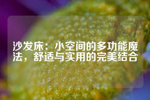 沙发床：小空间的多功能魔法，舒适与实用的完美结合