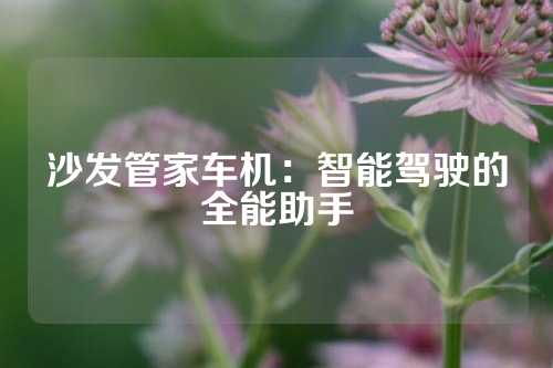 沙发管家车机：智能驾驶的全能助手