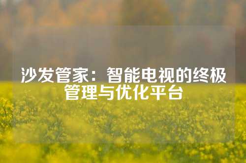 沙发管家：智能电视的终极管理与优化平台