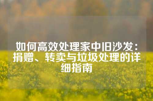 如何高效处理家中旧沙发：捐赠、转卖与垃圾处理的详细指南