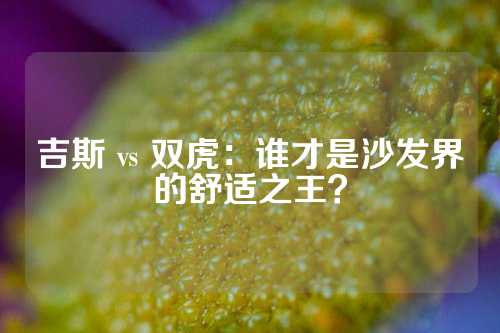 吉斯 vs 双虎：谁才是沙发界的舒适之王？