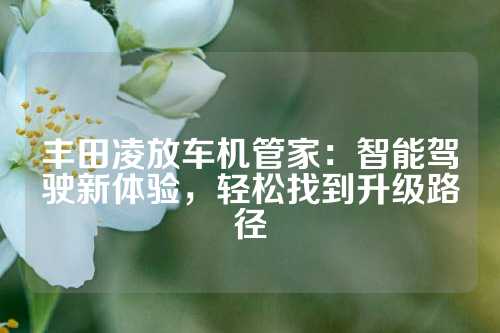 丰田凌放车机管家：智能驾驶新体验，轻松找到升级路径