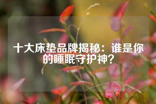 十大床垫品牌揭秘：谁是你的睡眠守护神？