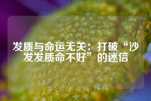 发质与命运无关：打破“沙发发质命不好”的迷信