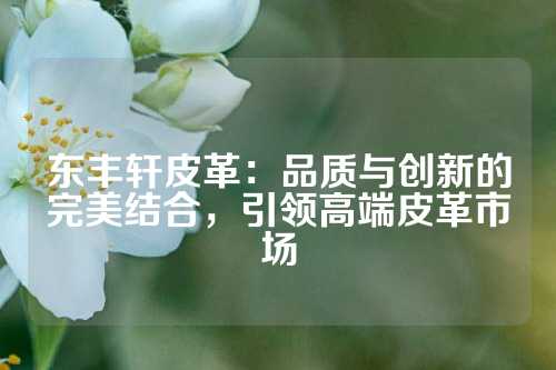 东丰轩皮革：品质与创新的完美结合，引领高端皮革市场