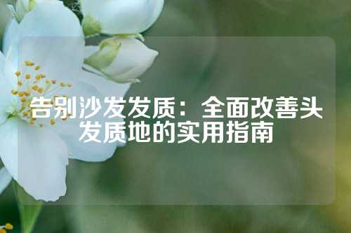 告别沙发发质：全面改善头发质地的实用指南