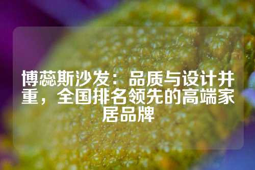 博蕊斯沙发：品质与设计并重，全国排名领先的高端家居品牌