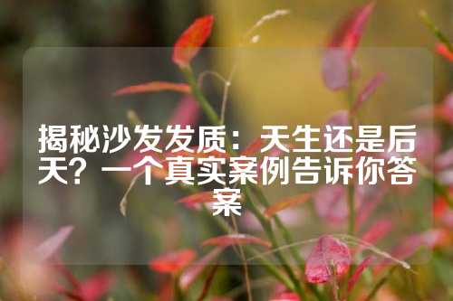揭秘沙发发质：天生还是后天？一个真实案例告诉你答案