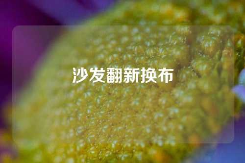 沙发翻新换布